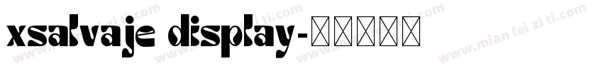 xsalvaje display字体转换